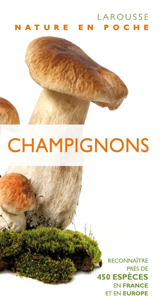Picture of Champignons