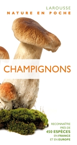 Picture of Champignons