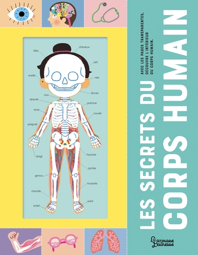 Image de Les secrets du corps humain