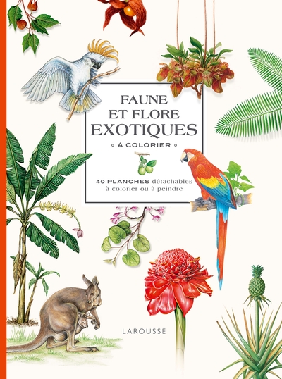 Picture of Faune et flore exotiques à colorier