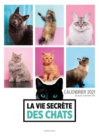 Image de Calendrier 2021 La vie secrète des chats