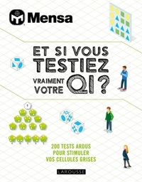 Picture of ET SI VOUS TESTIEZ VRAIMENT VOTRE QI