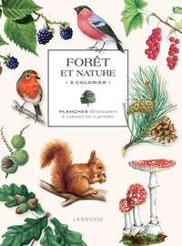 Picture of Forêt et nature à colorier