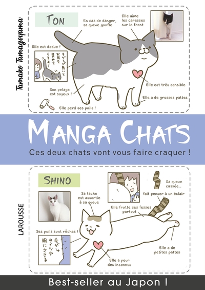 Picture of Manga chats