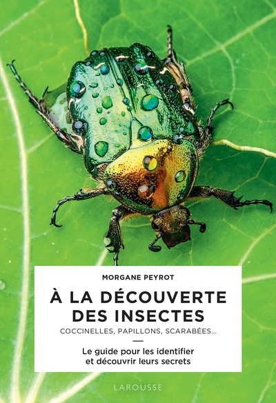 Picture of A la découverte des insectes