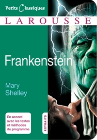 Picture of Frankenstein