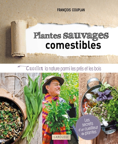 Picture of Plantes sauvages comestibles