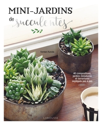 Image de Mini-jardins de succulentes