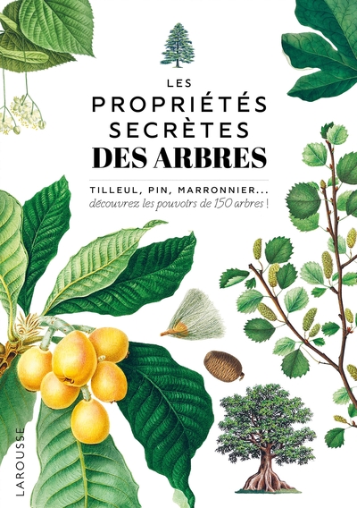 Image de Les propriétés secrètes des arbres