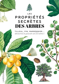 Image de Les propriétés secrètes des arbres