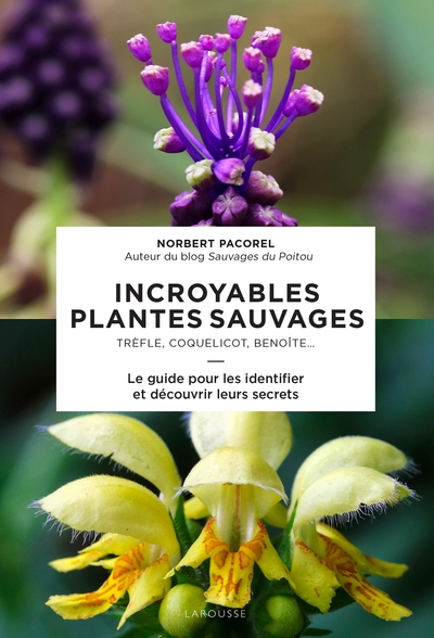 Picture of Incroyables plantes sauvages
