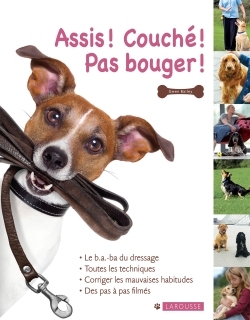 Picture of Assis, couché, pas bouger