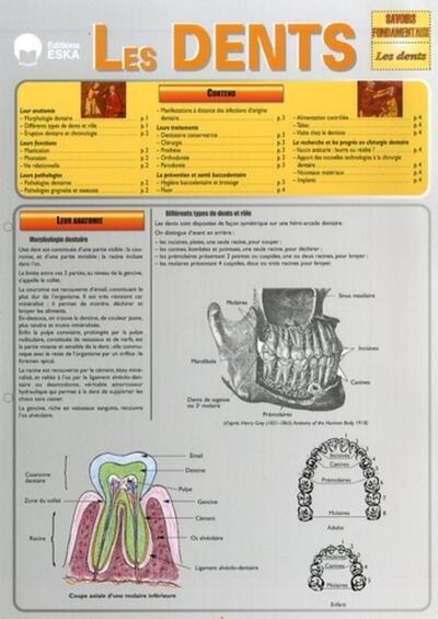 Picture of LES DENTS