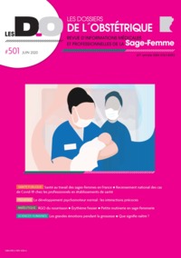 Image de SANTE AU TRAVAIL DES SAGES-FEMMES EN FRANCE-DO 501-JUIN 2020