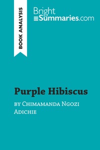 Image de Purple Hibiscus by Chimamanda Ngozi Adichie (Book Analysis)