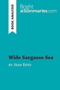 Picture of Wide Sargasso Sea by Jean Rhys (Book Analysis)