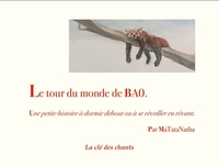 Image de Le tour du monde de Bao