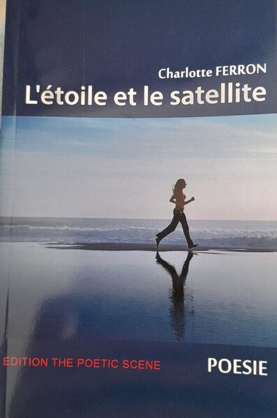 Picture of L'étoile et le satellite