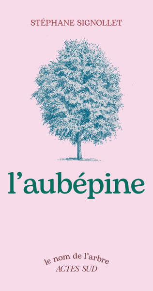 Picture of L'Aubépine