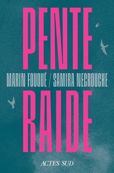 Image de PENTE RAIDE