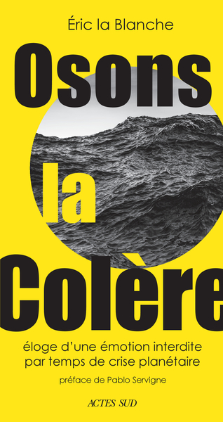 Image de Osons la colère