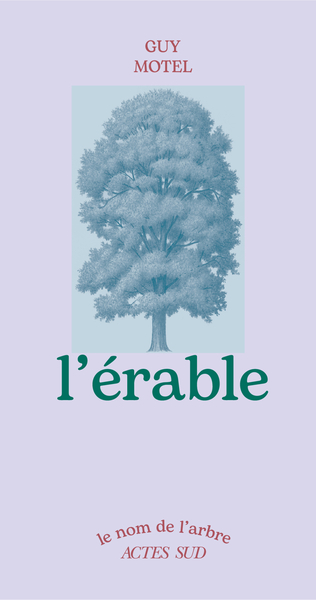 Picture of L'ERABLE