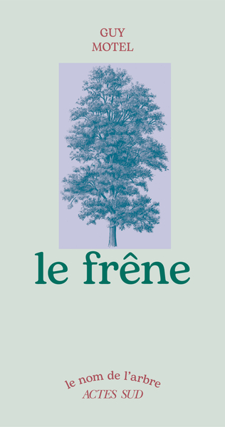 Picture of LE FRENE