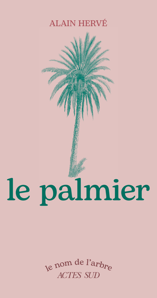 Image de Le Palmier