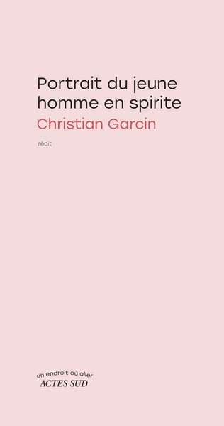 Picture of Portrait du jeune homme en spirite