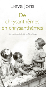 Image de De chrysanthèmes en chrysanthèmes