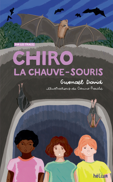 Image de Chiro, la chauve-souris