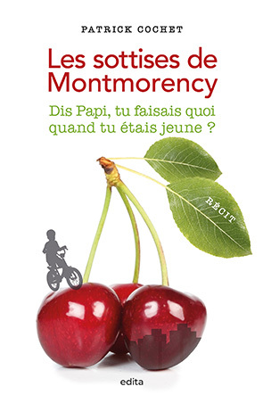 Image de Les sottises de Montmorency