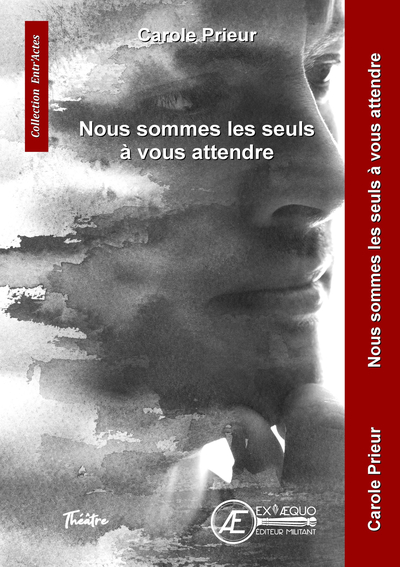 Image de NOUS SOMMES LES SEULS A VOUS ATTENDRE