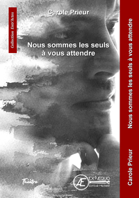 Image de NOUS SOMMES LES SEULS A VOUS ATTENDRE