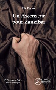 Picture of Un ascenseur pour Zanzibar - nouvelles