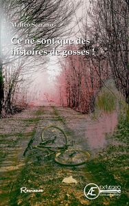 Picture of CE NE SONT QUE DES HISTOIRES DE GOSSES
