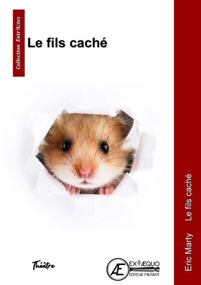 Image de LE FILS CACHE