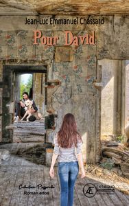 Picture of Pour David - roman jeunesse