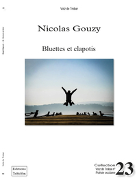 Image de Bluettes et clapotis