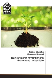 Picture of Recuperation et valorisation d'une boue industrielle