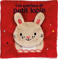 Picture of Les surprises de petit lapin