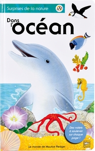 Image de Dans l'océan