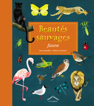 Image de Beautés sauvages faune
