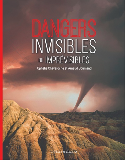 Picture of DANGERS INVISIBLES ET IMPREVISIBLES (NOUVELLE EDITION)