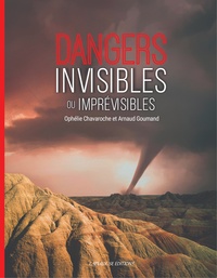 Picture of DANGERS INVISIBLES ET IMPREVISIBLES (NOUVELLE EDITION)