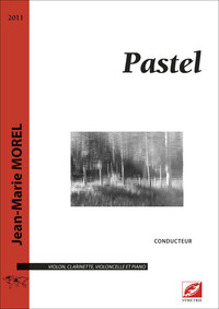 Picture of Pastel (conducteur)