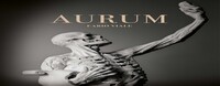 Picture of MAGONZA NA 98 : AURUM. FABIO VIALE (IT-ENG)