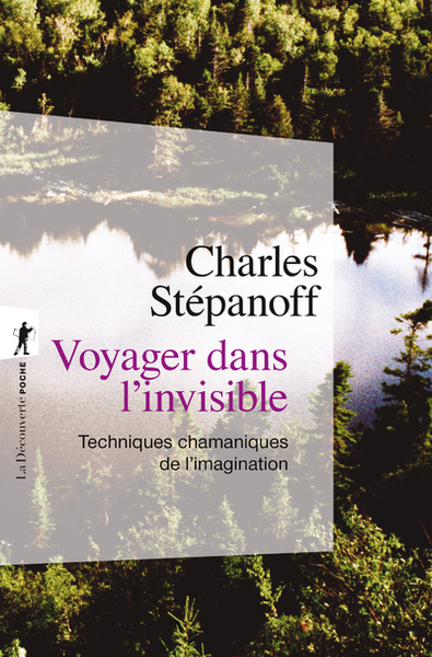 Image de Voyager dans l'invisible - Techniques chamaniques de l'imagination