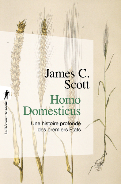 Picture of Homo domesticus - Une histoire profonde des premiers Etats