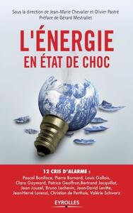 Picture of L'énergie en état de choc